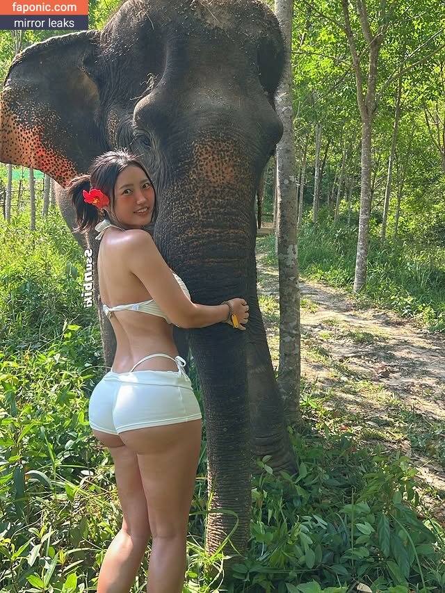 Ssunbiki Сливы ню OnlyFans/Patreon Фото #402